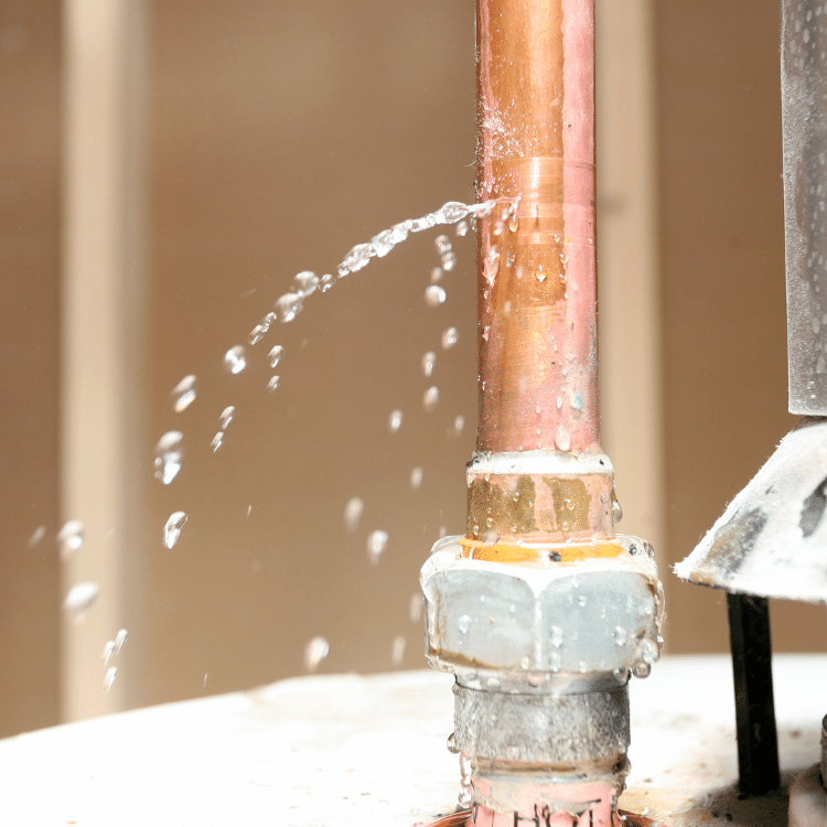 The Role of Water Leak Detection in Preventing Home Damage